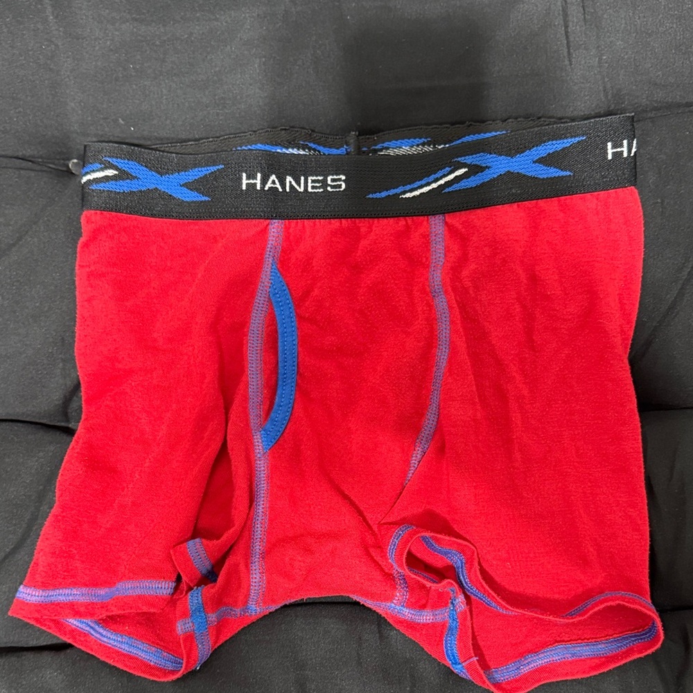 Hanes Men's Red and Blue Boxer Briefs